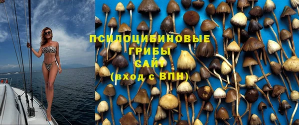 гидра Белоозёрский