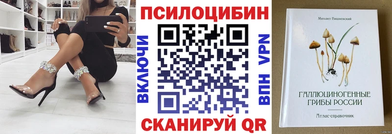 Галлюциногенные грибы Psilocybe  как найти закладки  Вельск 