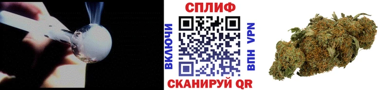 где купить ссылка на мегу рабочий сайт Каннабис план Вельск